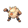 Primeape